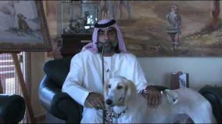 The Arabian Saluki Center [upl. by Regnig]