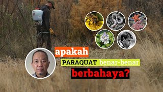 Fakta paraquat ep 1 AWAS PARAQUAT BERBAHAYA BAGI MAKHLUK HIDUP amp MANUSIA [upl. by Bartie]