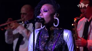 Live Stream CHIC featuring Nile Rodgers trittico Lost in MusicNotoriousOriginal Sin INXS [upl. by Harhay722]