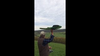 Zanonia von Doc Wunder erster Test RC Glider [upl. by Engleman]