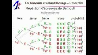 Maths 1èreES et 1èreL  Loi binomiale et échantillonnage  Mathématiques Première ES L 1ES 1L [upl. by Saffier]