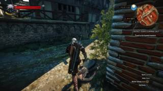 Doors Slamming Shut Witcher Contract  Witcher 3 [upl. by Neelie]