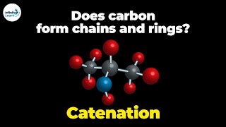 Catenation  Carbon and its Compound  Grade 10  Dont Memorise Hindi हिंदी में [upl. by Mikihisa621]