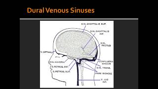 Dural Venous Sinuses  Anatomy [upl. by Sardse356]