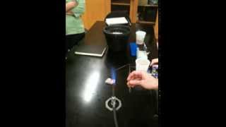 How to bend a glass pipette into a plate spreader [upl. by Patnode]