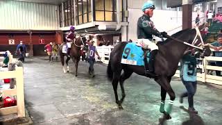 2023 LQHBA Sale FuturityRG1 Recap StallioneSearchcom [upl. by Levan]