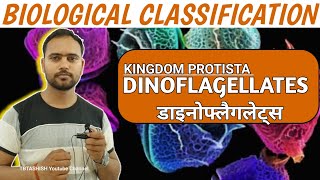 Dinoflagellates in 5 Min Biological Classification  Class 11 Biology  Kingdom protista [upl. by Ydnagrub424]