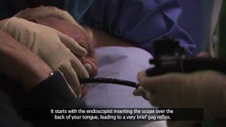 Bournemouth Digestive Diseases Centre Gastroscopy Procedure Subtitled [upl. by Sirad626]