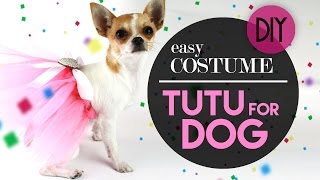 DOG TUTU EASY COSTUME  COSTUME PER CANE TUTU  DIY [upl. by Lenoj]