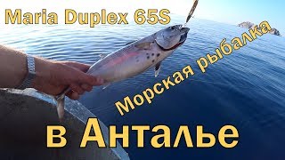 Морская рыбалка в Анталье Maria Duplex 65S соблазняет паламутов [upl. by Nnael610]