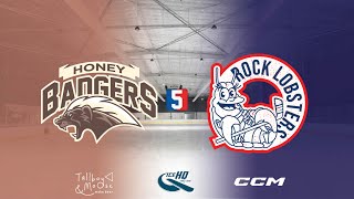 Honey Badgers VS Rock Lobsters  Div 5  31st October  IceHQ Rec League ice hockey [upl. by Bright]