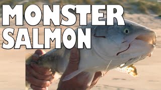 Monster Salmon in Almonta [upl. by Stedt]