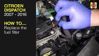 How to Replace the fuel filter on the Citroen Dispatch 2007 to 2016 [upl. by Hosea618]