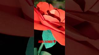 Paper rose flowerflowerarrangement diyrose [upl. by Skipp357]