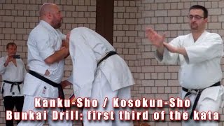 Practical Kata Bunkai KankuSho  KosokunSho [upl. by Yornek]