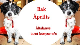 quot Elszántság quot Általános tarot kártyavetés bak horoszkóp jegy részére [upl. by Oinoitna]