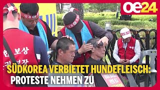 Südkorea verbietet Hundefleisch Proteste nehmen zu [upl. by Drain]