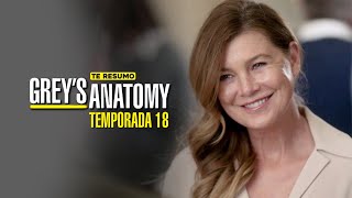 GREYS ANATOMY TEMPORADA 18  RESUMEN en 8 minutos [upl. by Tenner]