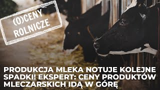 Produkcja mleka notuje kolejne spadki Ekspert Ceny produktów mleczarskich idą w górę [upl. by Enyrhtac]