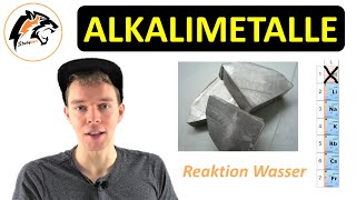 ALKALIMETALLE – 1 Hauptgruppe im Periodensystem  Chemie Tutorial [upl. by Eceerahs]