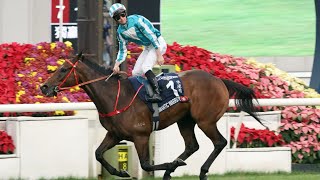 LONGINES HKIR 2024 LONGINES Hong Kong Cup  Race Replay [upl. by Agee915]