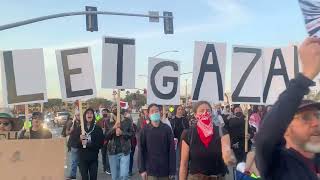 ProPalestine Protesters Block Traffic Near LAX Airport [upl. by Diogenes]