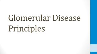 Renal 41 Glomerular Disease Principles [upl. by Arel]