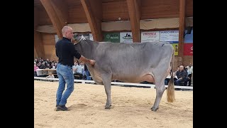 Toggenburger Herbstschau 2024 Miss OB Wahl [upl. by Gahl157]