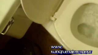 How To Fix A Double Flushing Toilet [upl. by Julianne229]