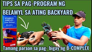 TAMANG PARAAN SA PAGBIGAY NG BCOMPLEX SA MANOKTIPS SA PAGPROGRAM NG BCOMPLEX SA ALAGANG MANOK [upl. by Ennovart]