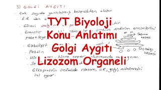 TYT BİYOLOJİ KONU ANLATIMI Golgi Aygıtı Lizozom Organeli [upl. by Enelyar474]