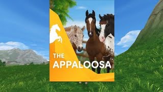 star stableAPPALOOSA TRAILER [upl. by Merth]