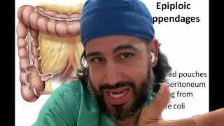 Epiploic Appendage Appendagitis [upl. by Amalie]