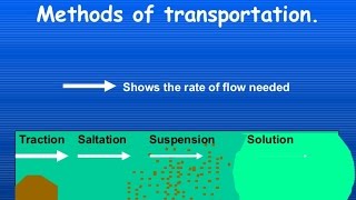 Transport of Sediment in Rivers and Sea  Diagram and explanation [upl. by Fawcette737]