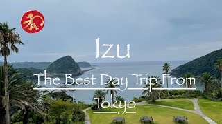 The best seaside trip from Tokyo Izu Peninsula and Shimoda [upl. by Nomra]