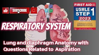 Lungs and Diaphragm Anatomy with Aspiration Related Questions from First aidPart 2USMLEUrduHindi [upl. by Esekram]