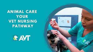 Starting your Career in Veterinary Nursing  Animal Studies Vet Nurse Pathway Course [upl. by Ihana]