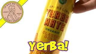 Yerba Mate Organic Classic Gold Drink Guayaki Review [upl. by Leveridge]