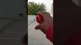 how to spin cosco ball next video cricket shorts 4 [upl. by Eulalia]