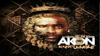 03  CaShin Out Reremix Akon  Konkrete Jungle 2012  Mixtape HD [upl. by Ttereve]