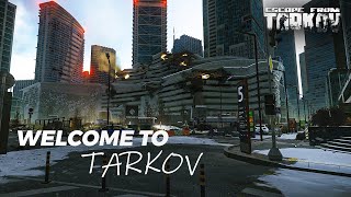 What Happened in Tarkov  Escape from Tarkov Lore [upl. by Avivah217]