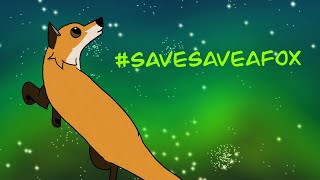 SaveAFox Speedpaint Savesaveafox [upl. by Quigley]