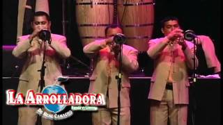 Cheque En Blanco  La Arrolladora Banda El Limón  Maviel [upl. by Grados]