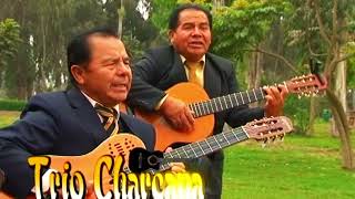 Trio CharcanaMontañas BravasHuayno Arequipa [upl. by Glantz173]