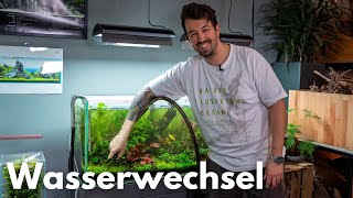 Wasserwechsel im Aquarium Schritt für Schritt Anleitung  Liquid Nature [upl. by Maryellen]