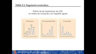 Lec357 Isoenzimas umh1025 201516 [upl. by Noryt]