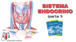 Sistema Endocrino 1  Tortora Derrickson [upl. by Anila]