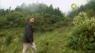 Viasat Nature Eastern Europe  New Adventures with Nigel Marven promo [upl. by Poppy]