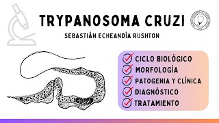 TRYPANOSOMA CRUZI Ciclo biológico Vector Clínica Diagnóstico y Tratamiento  Parasitología [upl. by Memberg869]