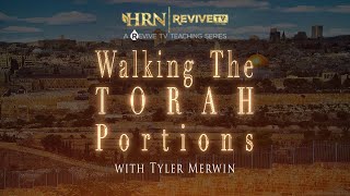 Walking the Torah Portion with Tyler Merwin  BAMIDBAR [upl. by Anerehs621]